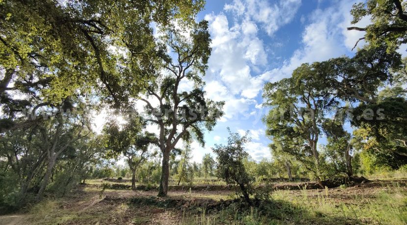 IMG20241024104010_result