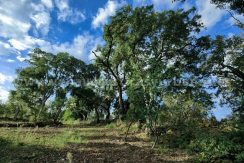 IMG20241024104023_result