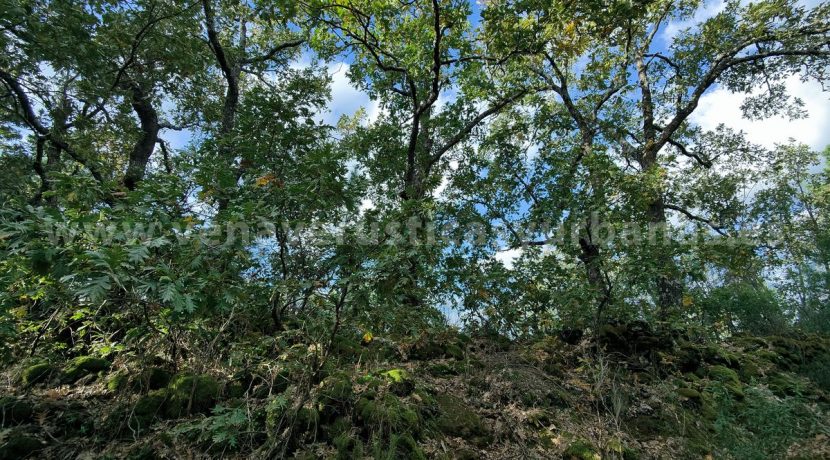 IMG20241024104057_result