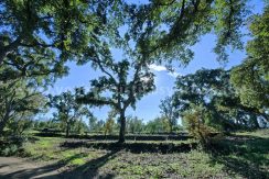 IMG20241128130108_result