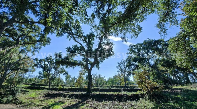 IMG20241128130108_result