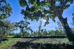 IMG20241128130317_result