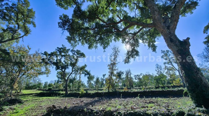 IMG20241128130317_result