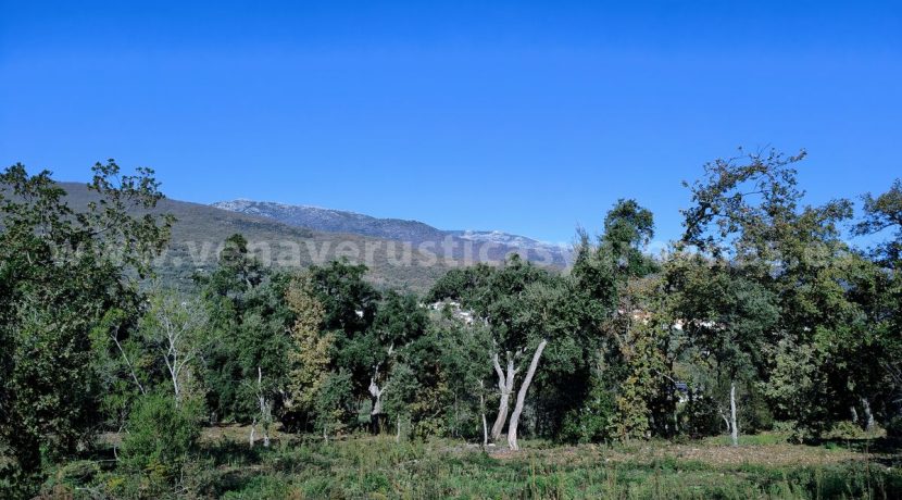 IMG20241128131030_result