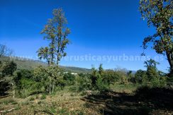 IMG20241128131347_result