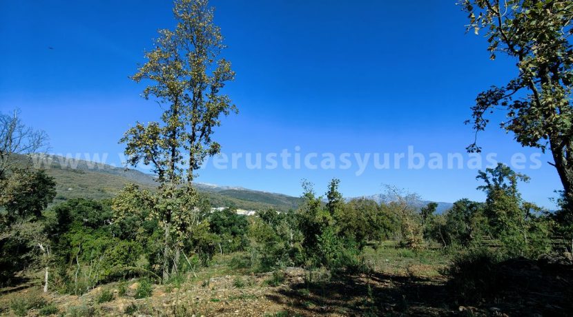 IMG20241128131347_result