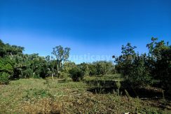 IMG20241128132432_result