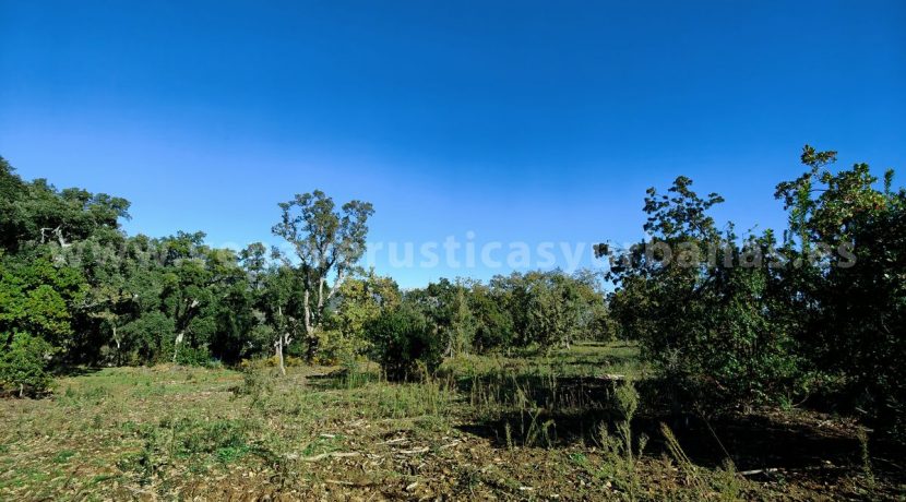 IMG20241128132432_result