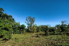 IMG20241128132557_result