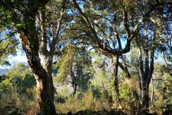 IMG_20220112_165906_result