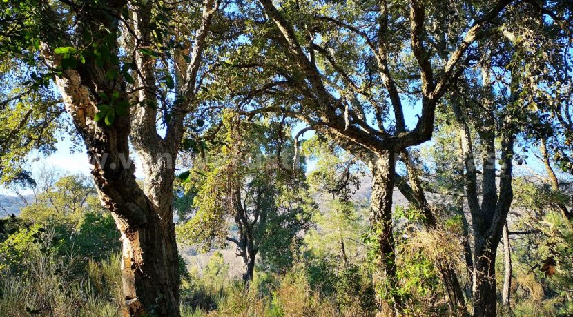 IMG_20220112_165906_result