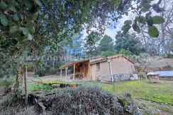 a7ef4b0a-979e-4583-876b-1e74a425e8b4_result