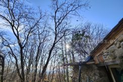 b2b8cae2-711e-4040-ba7b-4cd676e1d00d_result