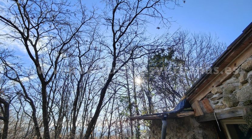 b2b8cae2-711e-4040-ba7b-4cd676e1d00d_result