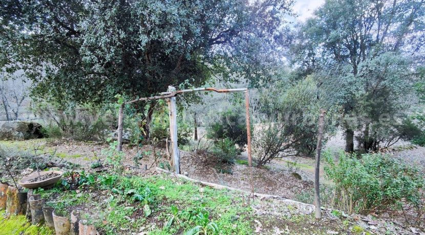 b75cf3c0-0b59-49eb-912d-d1e809b0b96a_result