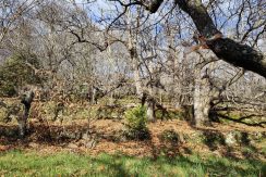 baeae976-2881-45c6-9bc6-b8ff889ac5dc_result