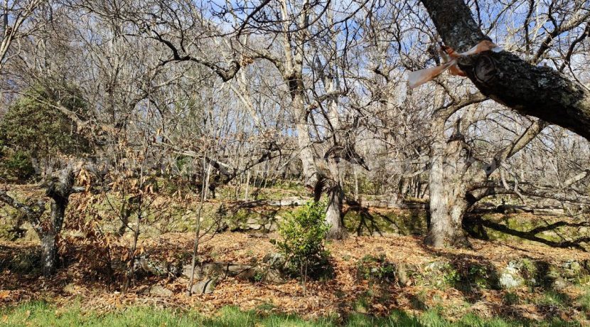 baeae976-2881-45c6-9bc6-b8ff889ac5dc_result