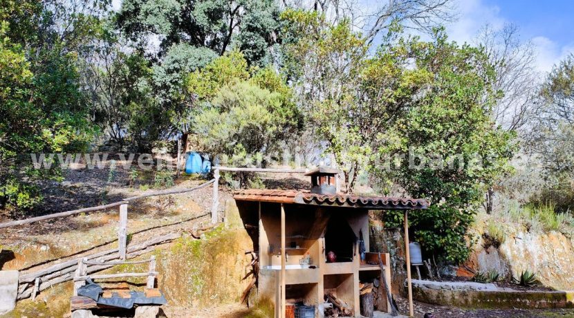 c59d39d4-28cb-463c-aa0a-cf9c1f9476f4_result_result