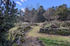 c741656b-3069-4fc9-8a1d-e29ed099fcd8_result