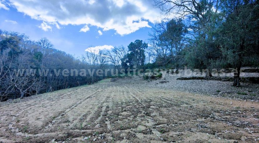 c7bc4a2f-5dc2-467e-8e00-c1bd78b8fbd2_result