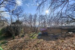 cc5b5173-f4a2-4a7b-a2c0-f290712f8c66_result