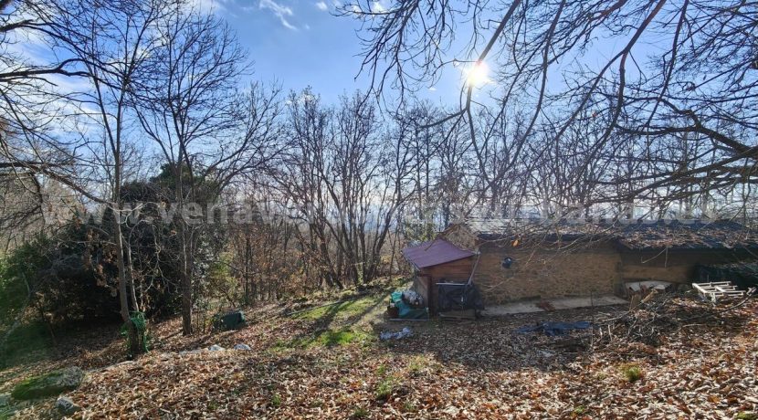 cc5b5173-f4a2-4a7b-a2c0-f290712f8c66_result