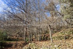 d041e4ae-70f3-45c8-b8bd-e25345441fca_result