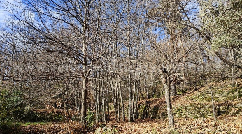 d041e4ae-70f3-45c8-b8bd-e25345441fca_result