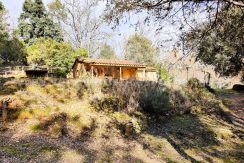 ea6b6713-28dd-48bd-926f-b31a5d0b2dae_result