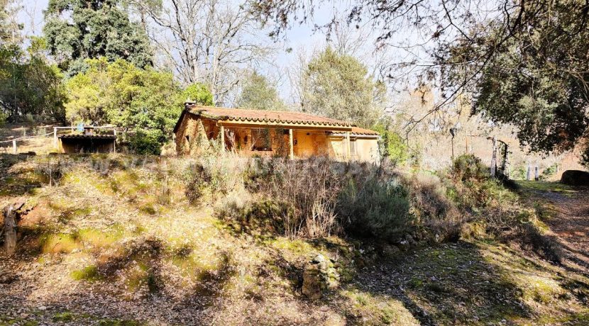 ea6b6713-28dd-48bd-926f-b31a5d0b2dae_result