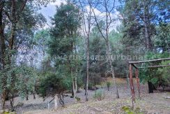 ed8f6ce0-5f80-4dda-85dc-40de365905b0_result