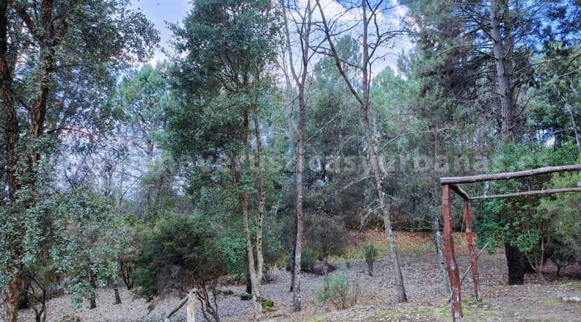 ed8f6ce0-5f80-4dda-85dc-40de365905b0_result