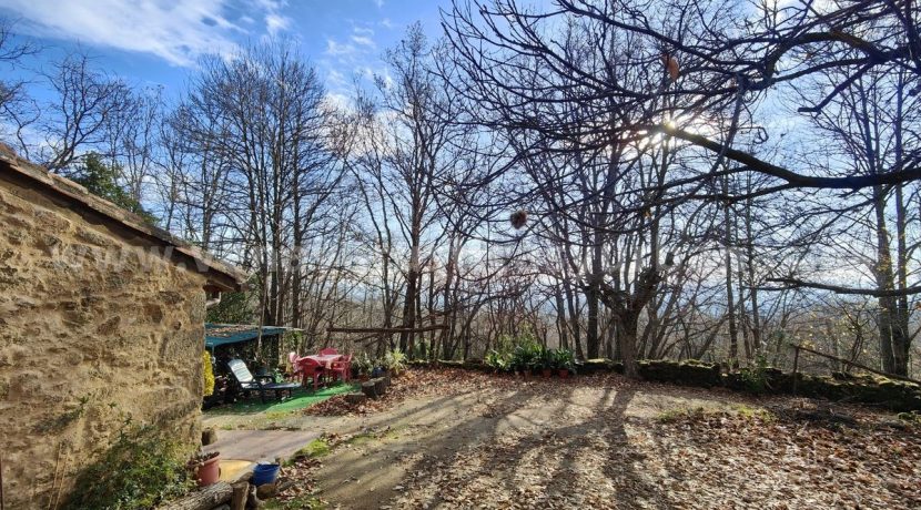 f4273e65-30d1-4719-8c54-dff929c17646_result