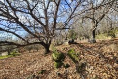 f8844cdd-7d12-4a8c-a245-796489516cf4_result