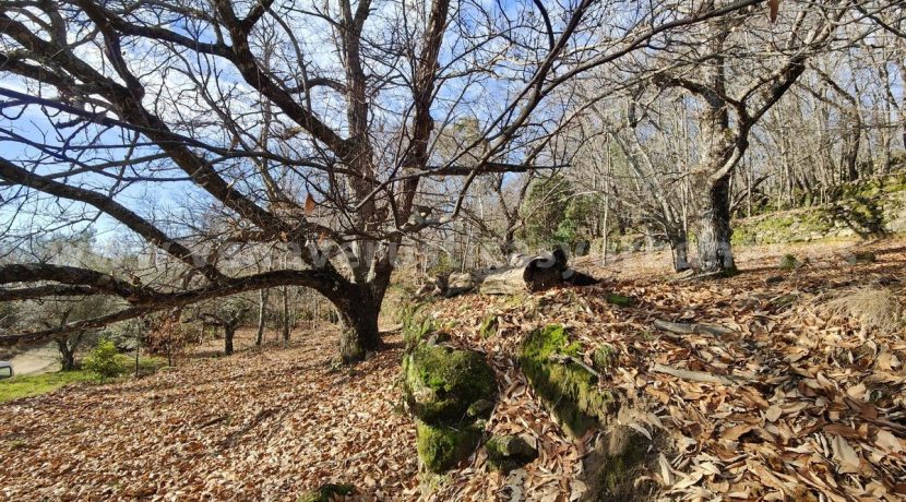 f8844cdd-7d12-4a8c-a245-796489516cf4_result