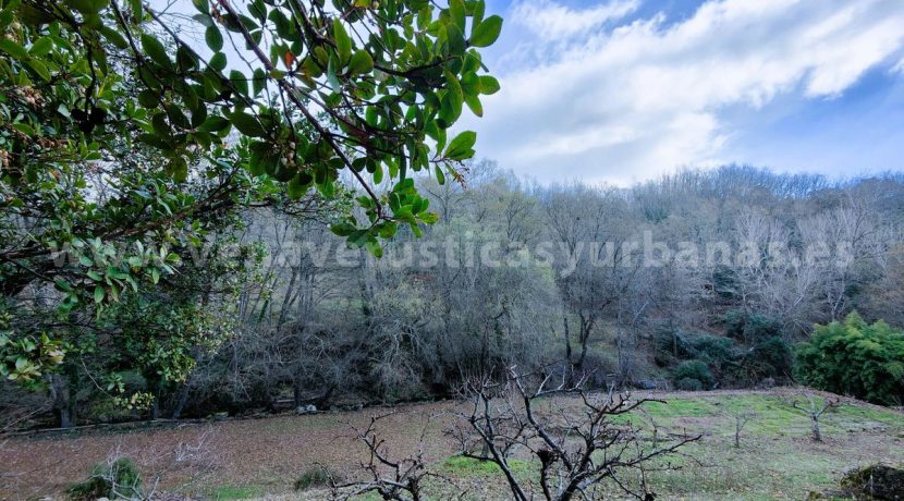 fee10b4f-6060-4278-b51f-1ad8041c6f8f_result