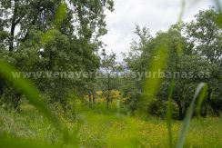 Casa-36-scaled_result