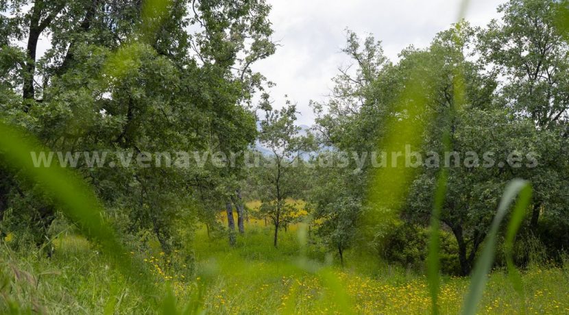 Casa-36-scaled_result