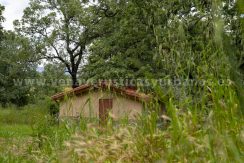 Casa-41-scaled_result