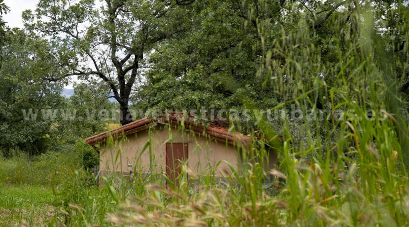 Casa-41-scaled_result