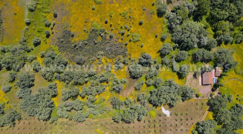 Casa-43-scaled_result