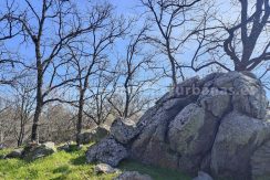 IMG20260223122031_result