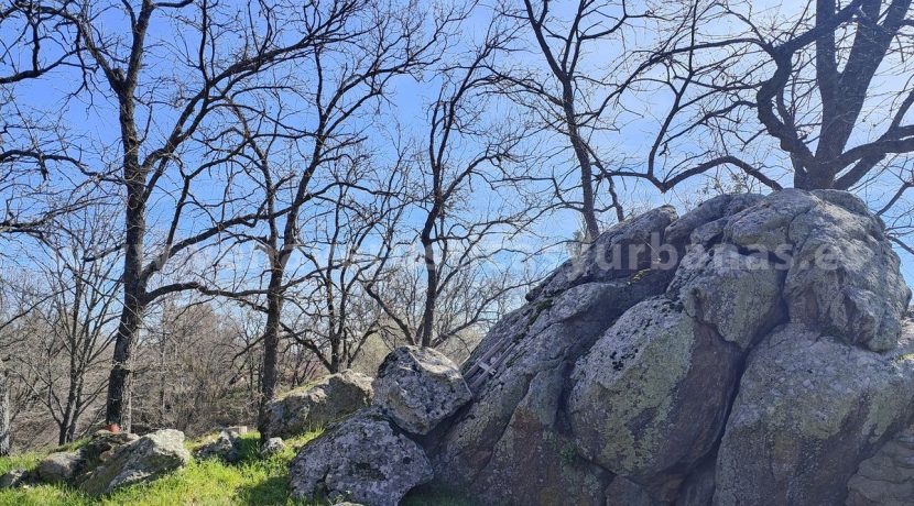 IMG20260223122031_result