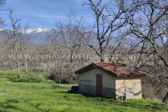 IMG20260223122047_result