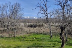 IMG20260223122831 (1)_result