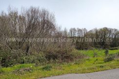 7f8abb91-dc82-478c-a71a-c1908ff4e7ce_result