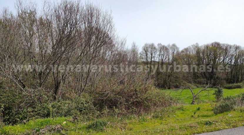 7f8abb91-dc82-478c-a71a-c1908ff4e7ce_result