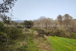 80d1b02e-49f3-4781-8ed8-80c5f67c6cf3_result