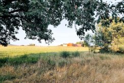 IMG20250703084843_result