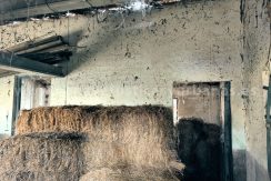 IMG20250703084930_result